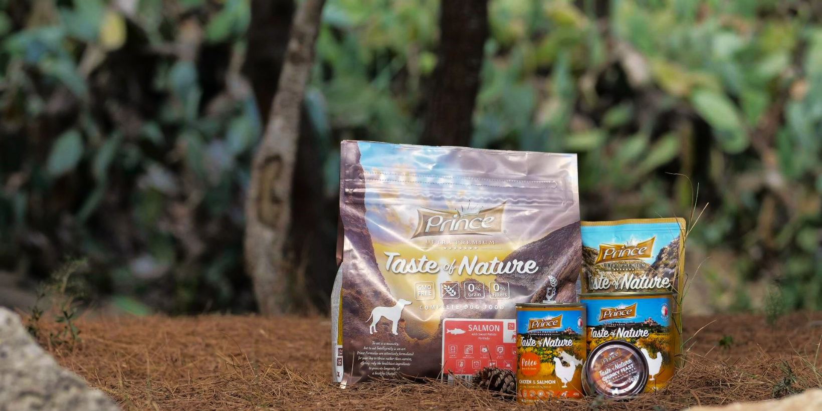 414482307_868788111914694_9214442660647470649_n